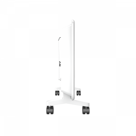 005